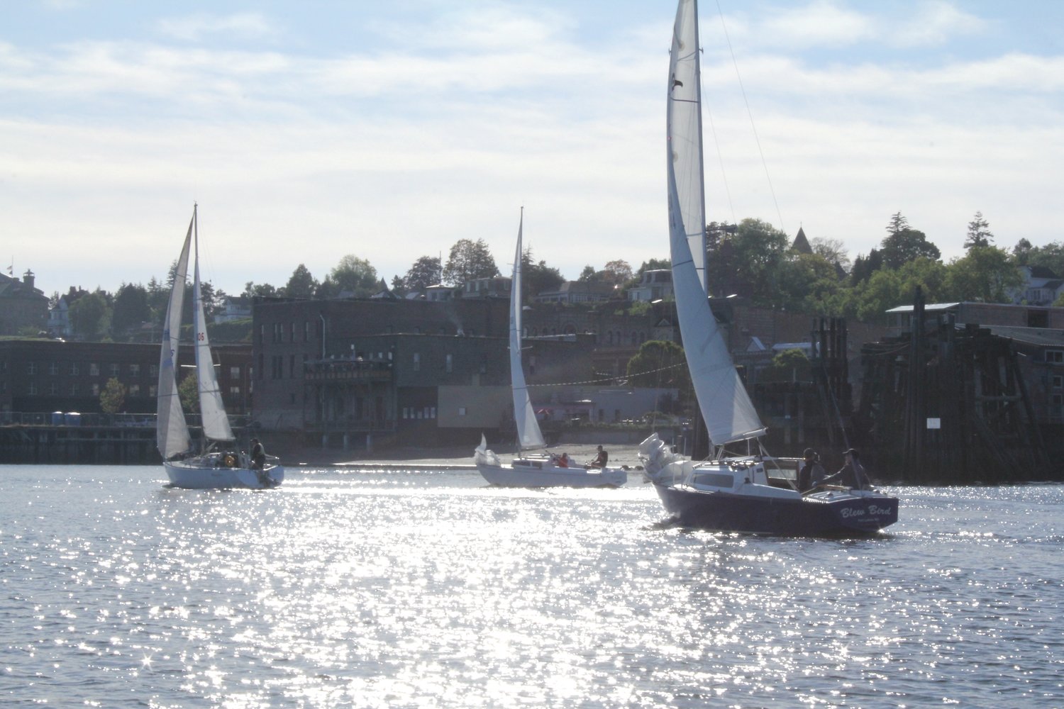 A steady breeze carries racers along the Port Townsend Waterfront prior to the start of Race 6 in the Port Townsend Sailing Association’s Whitecap Series.
