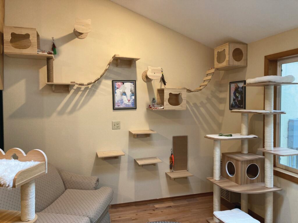 Platforms, towers, and bridges line the walls of the luxury cat hotel, awaiting exploration.