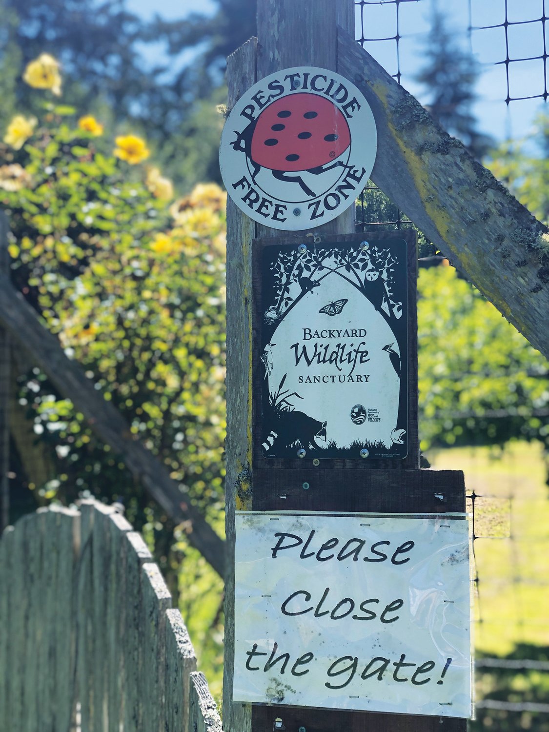 Friendly insects, controlled burns and organic practices keep the Alpenfire orchard a healthy place not just for apples, but for critters of all kinds.