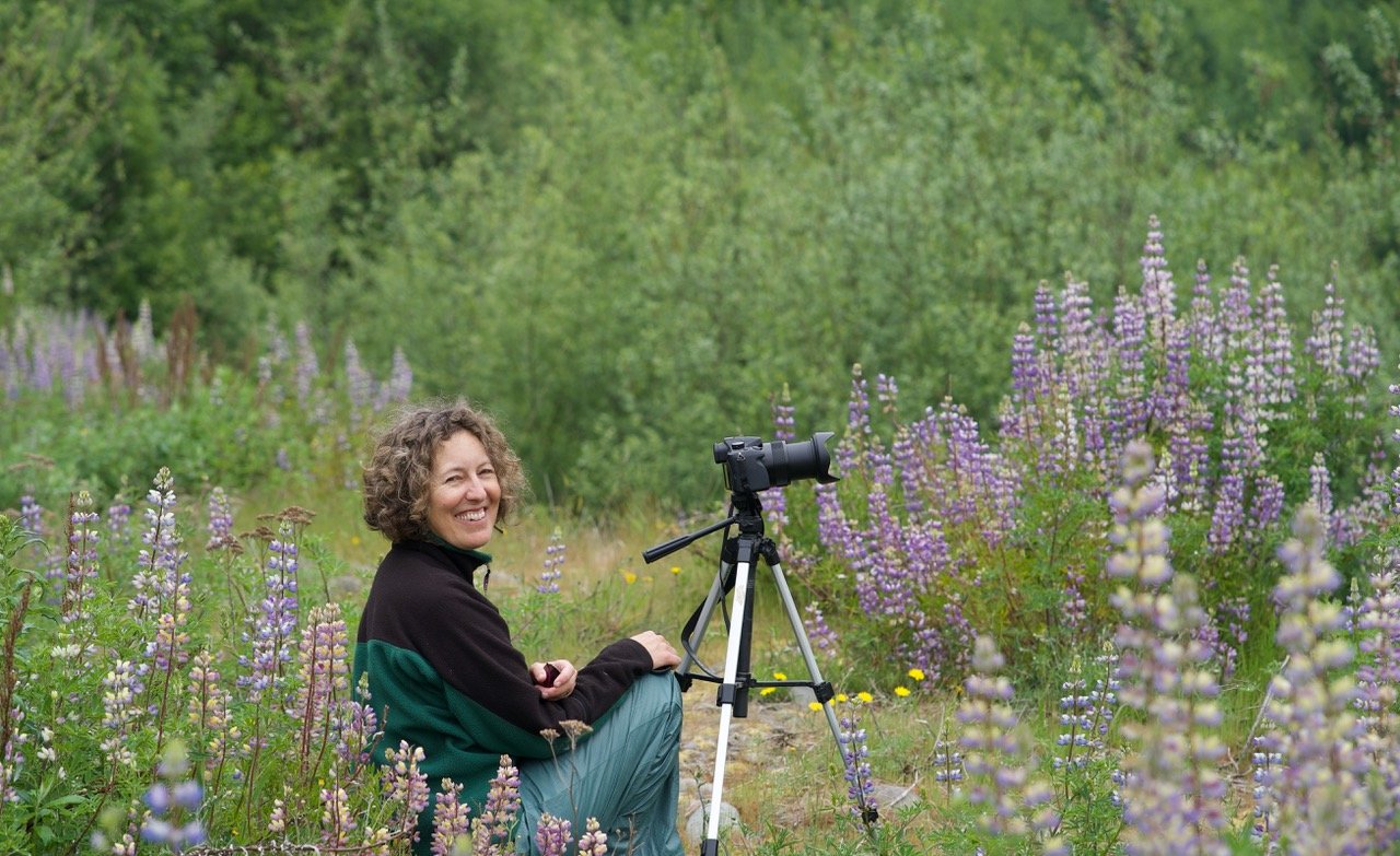 Writer and filmmaker Jessica Plumb sits amongst the lupine that has grown in where the reservoir once was.
