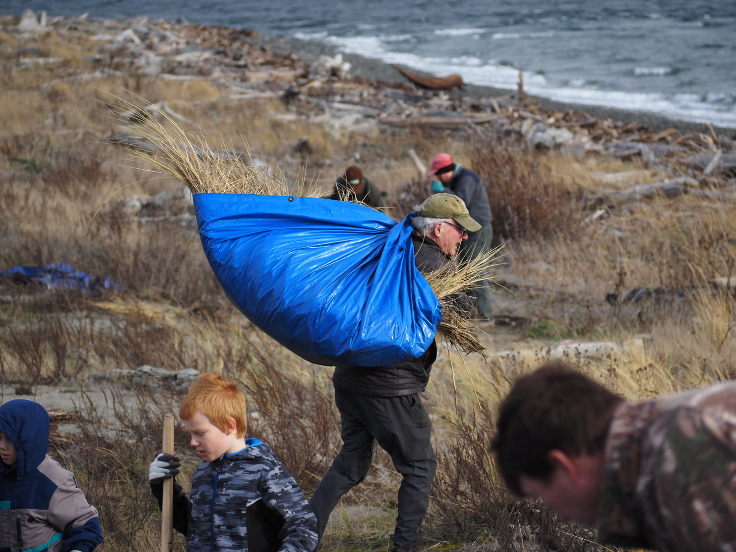 Will Barrett, who volunteers with the Friends of Fort Worden, hauls off a load of invasive beach grass.