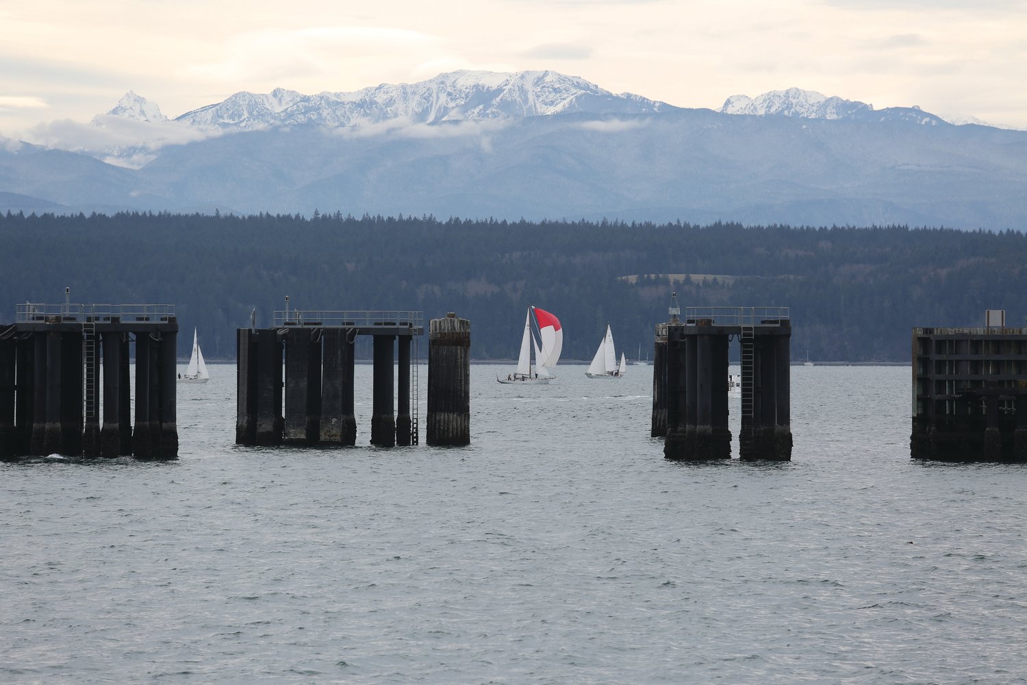 With an Olympic Mountain range backdrop, sailboats peak through the union wharf while racing in Saturday’s Shipwrights’ Regatta.